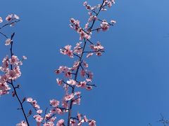 -尚贤河湿地