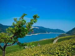 -东钱湖旅游度假区