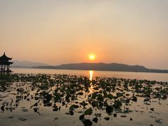 -西湖外事游船(湖滨二公园外事游船码头)