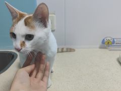 -莘程宠物医院(金山店)