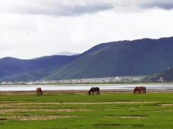 -纳帕海依拉草原