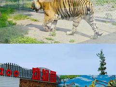 -商丘市人民公园