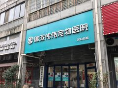 -伟伟宠物医院·CT影像中心·瑞派犬猫综合性门诊(汉口总院)