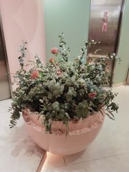 -好看加白色房子