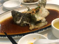 清蒸石斑鱼-琼大师东方烤乳猪(亚特兰蒂斯店)
