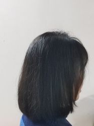 -YESIDO椰岛造型