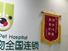 -艾吉宠物医院·疑难杂症转诊中心·猫友好(碧江路院)