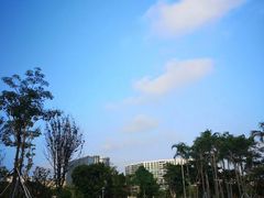 -宝安西湾红树林湿地公园