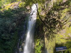 -莫里热带雨林景区