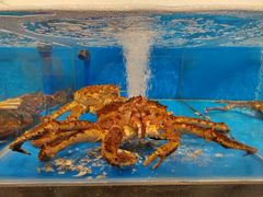 -舜和枣庄大酒店