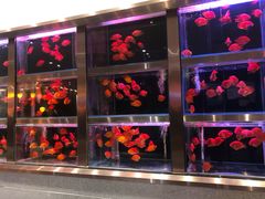 -青岛西海岸隆和福朋喜来登酒店