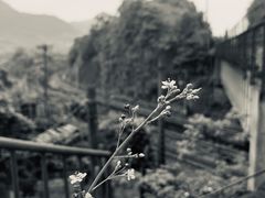 -小南海站