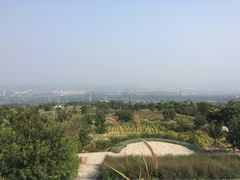 -紫云台香草园