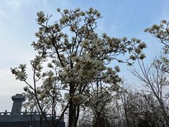 -永定河休闲森林公园