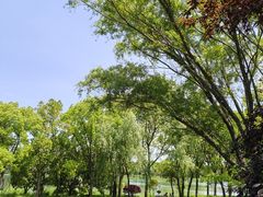 -长广溪湿地公园