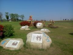 -杭州湾海上花田景区