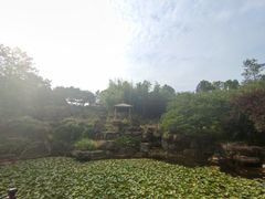 -秀丽东方