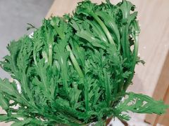 -陈记顺和潮汕牛肉火锅(番禺迎宾大道店)