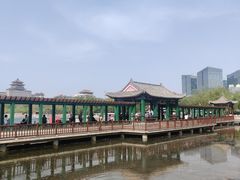 -莲花池公园