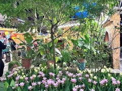 -园林美食城·本土农家菜(杨和镇店)