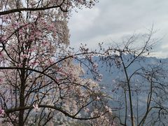 -九皇山景区