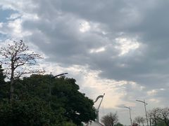 -厦门园林博览苑