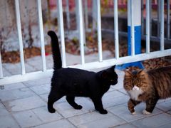 -北京西山国家森林公园