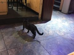 -猫姑娘大盘鸡(商城路店)