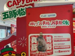 -远洋未来汇