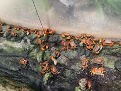 -正佳雨林生态植物园