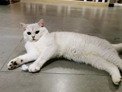 -梵猫·新养生(福州万象城店)