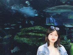 -瑞普利水族馆