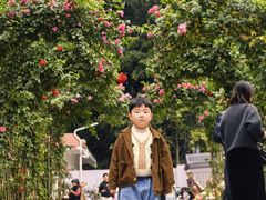 -人民公园(罗湖区)