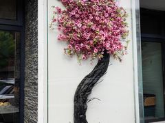 -小桃红·东北菜·春饼烤鸭(南阳湖街店)