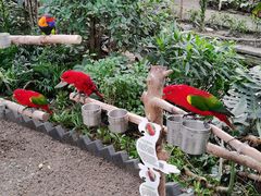 -南宫五洲植物乐园