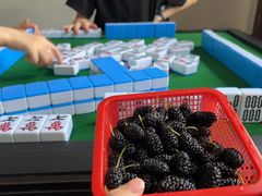 -桃源山庄·水蜜桃采摘·柴火鸡·烧烤团建(龙泉山店)