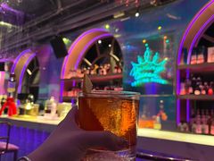 -Darling Queen·Mini·Live·House