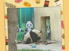 -西安秦岭野生动物园