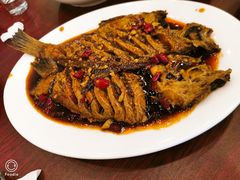 -林之六八·6886大连老菜馆