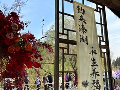 -溱湖国家湿地公园