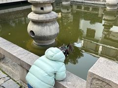 -苏州吴宫泛太平洋酒店