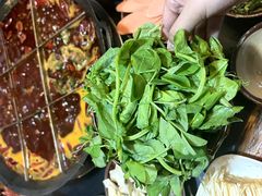 -肥龙火锅(南坪店)