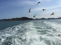 -海驴岛(荣成市)