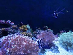 -成都浩海立方海洋公园