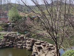 -冶父山国家森林公园