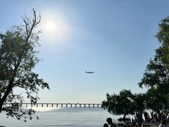 -宝安西湾红树林湿地公园