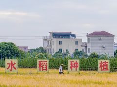 -低涌(地铁站)