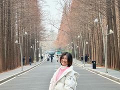 -日照海滨国家森林公园