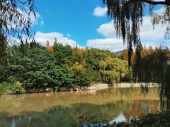 -中国浦东干部学院