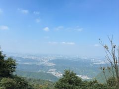 -梧桐山风景名胜区